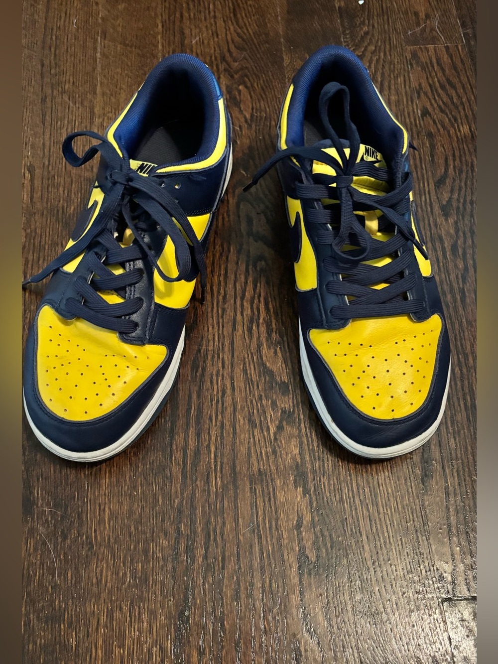 Nike Mens Michigan Dunks Low-Top Sneakers in Navy and Yellow
